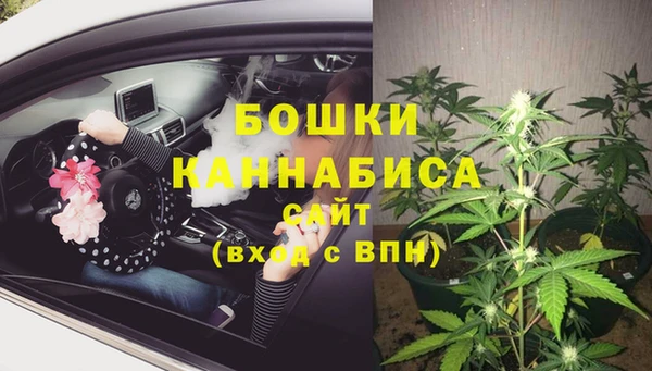 прущая мука Горняк