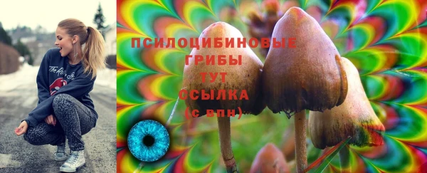 spice Рославль