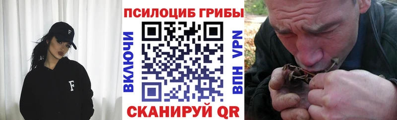 Галлюциногенные грибы мицелий  Котельники 
